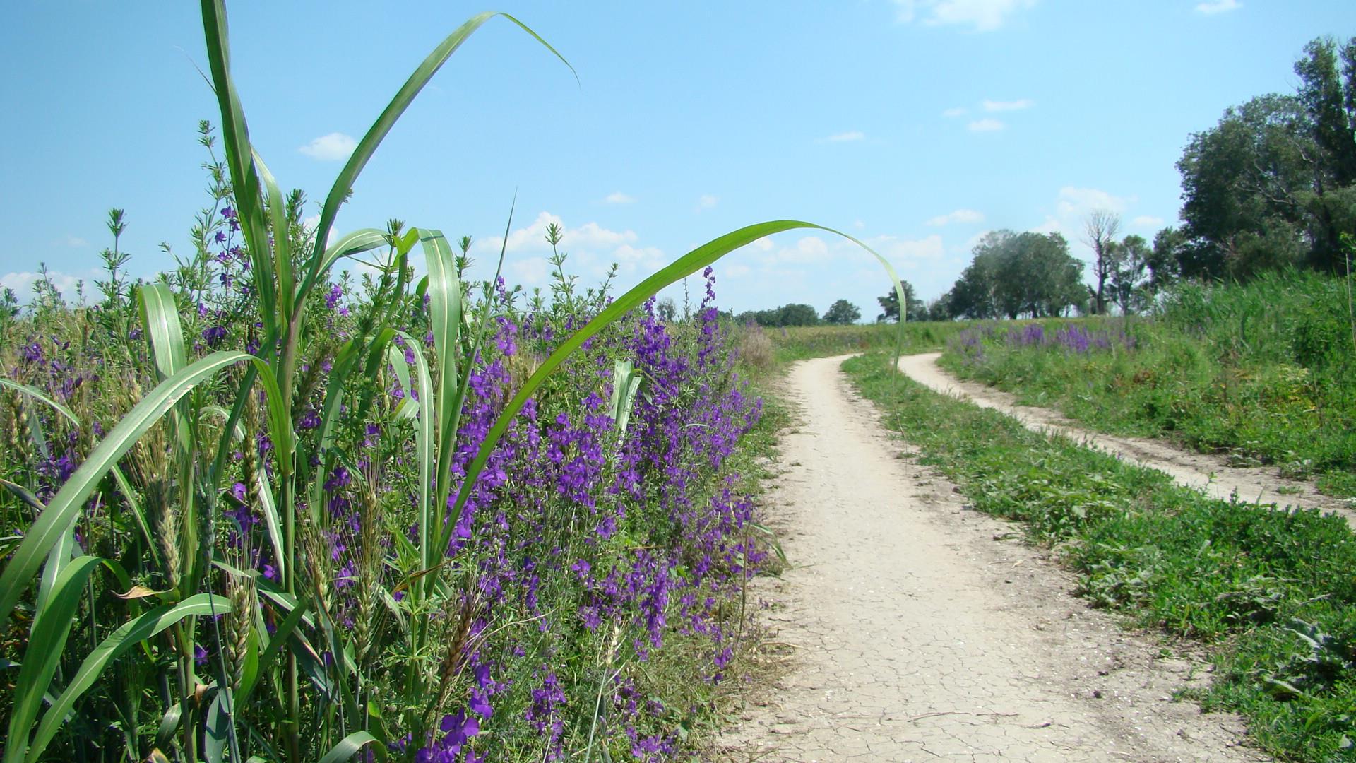 Blasova 2012 - DSC07212.JPG